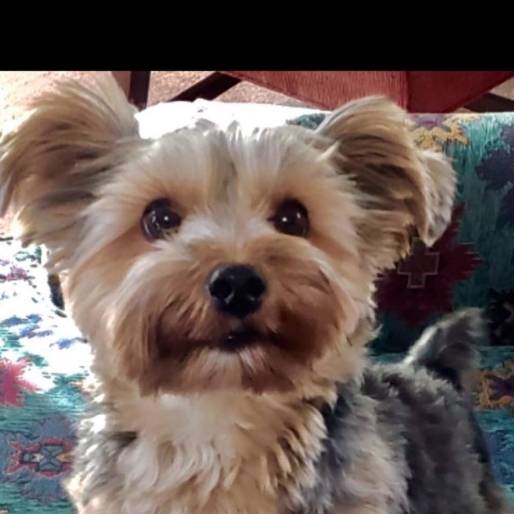 Meet your Posher, Laura